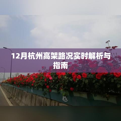 鸟吏鼈官 第3页