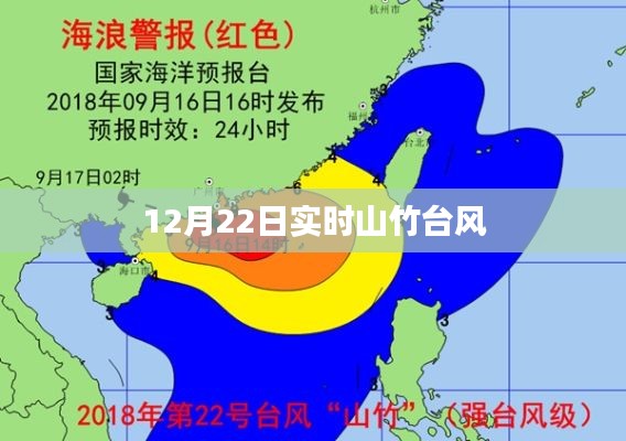 天罗地网 第3页