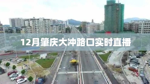 比张比李 第3页