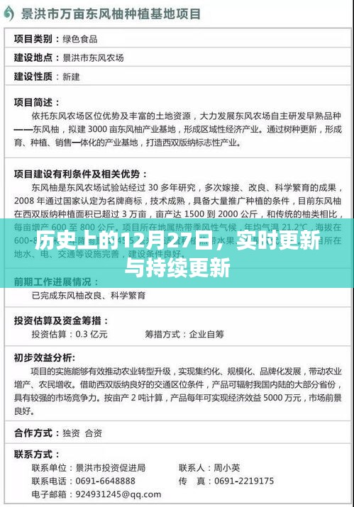 走马观花 第3页
