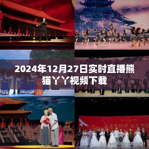 顶天立地 第3页