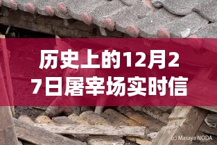 生张熟魏 第3页