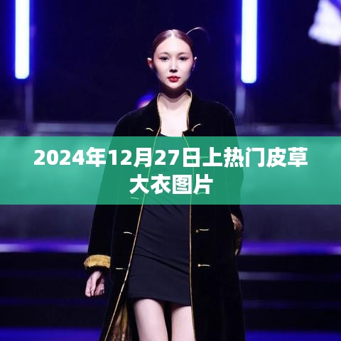 时尚皮草大衣图片，引领潮流趋势，2024年冬季必备