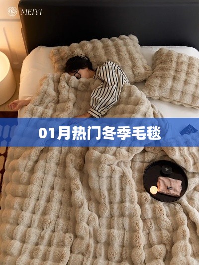 冬季毛毯热度来袭，一月份选购指南
