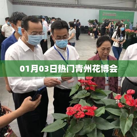 青州花博会盛大开幕，热门活动抢先看！