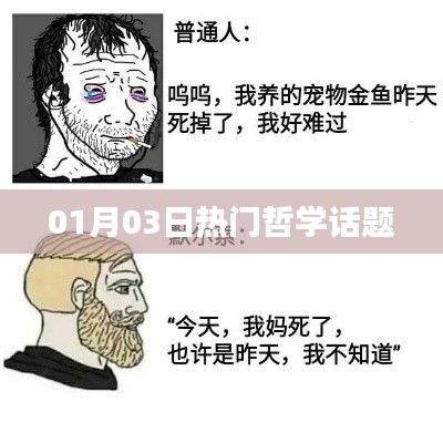 择善而从 第3页