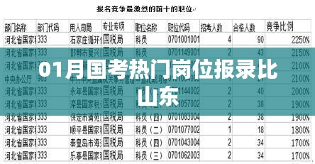 国考山东地区热门岗位报录比分析