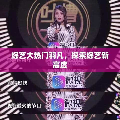 无影无踪 第2页