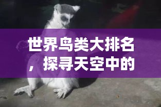 德才兼备 第2页