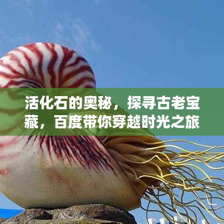 十全十美 第3页