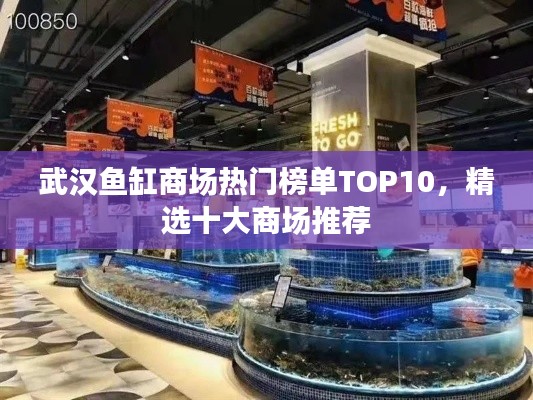 飞扬拨扈 第2页