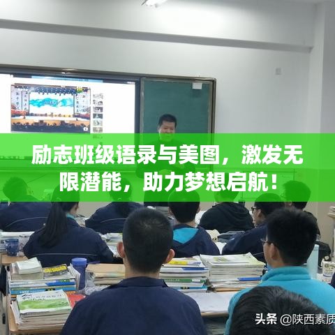 真独简贵 第3页