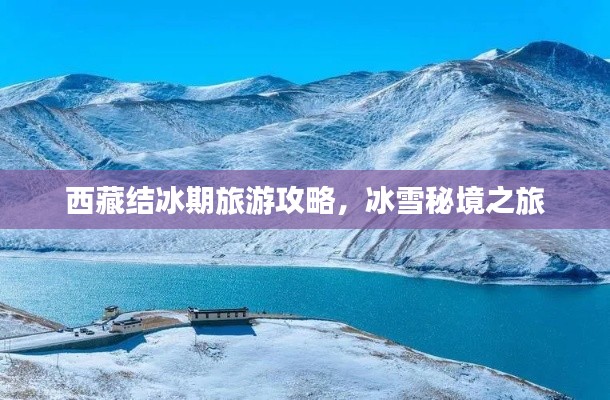 志在四方 第2页