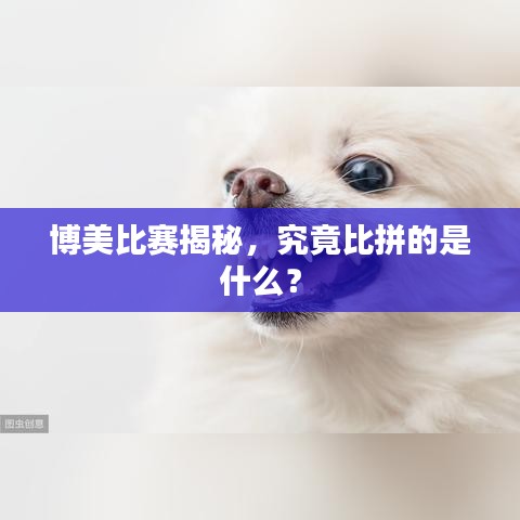 弃文就武 第2页