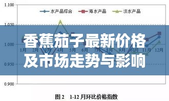 天罗地网 第2页