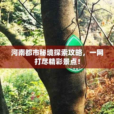 听见风就是雨 第2页