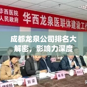 成都龙泉公司排名大解密，影响力深度剖析