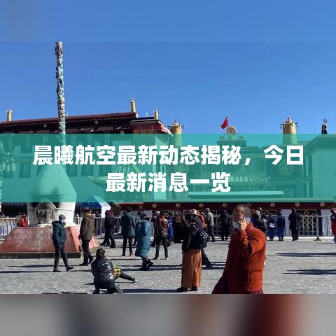 反朴归真 第2页