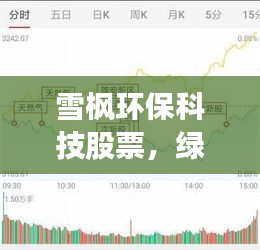 雪枫环保科技股票，绿色发展引领投资新焦点