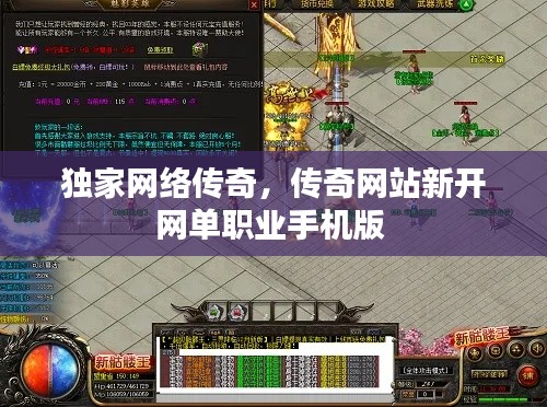 纲挈目张 第2页