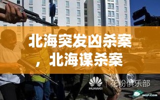 还醇返朴 第2页