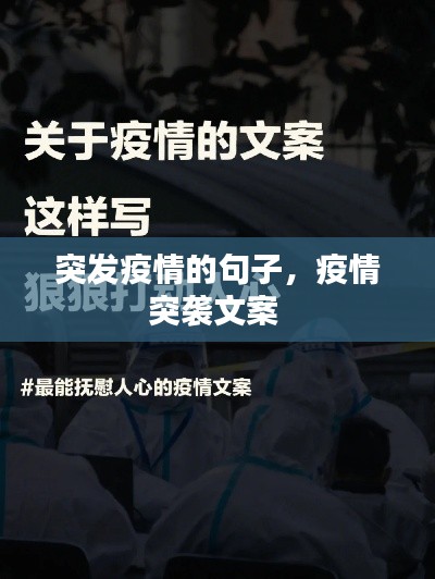 雪中送炭 第2页