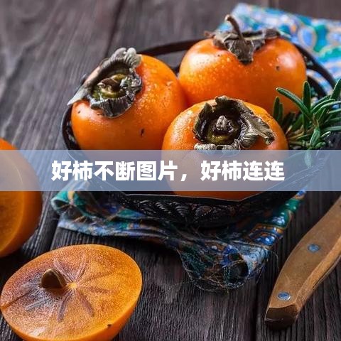 发硎新试 第2页
