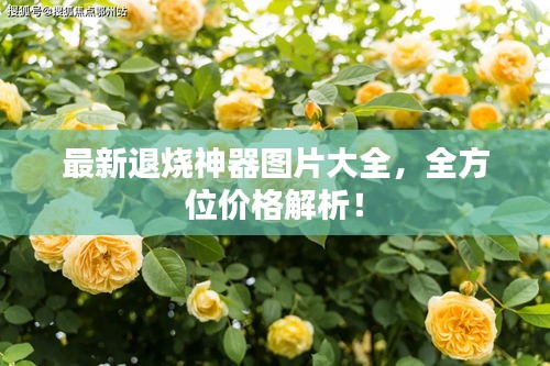 朱唇粉面 第2页
