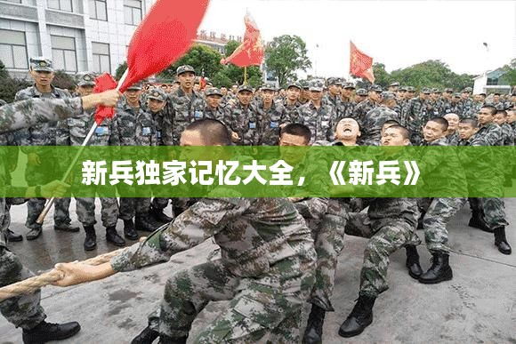 新兵独家记忆大全，《新兵》 