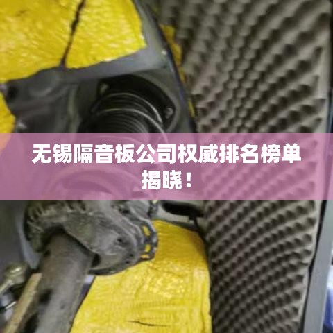 衣不兼采 第2页