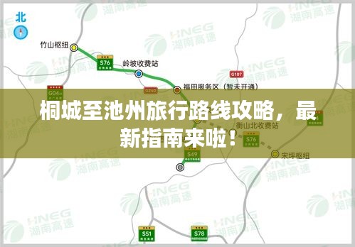 夯雀儿先飞 第2页