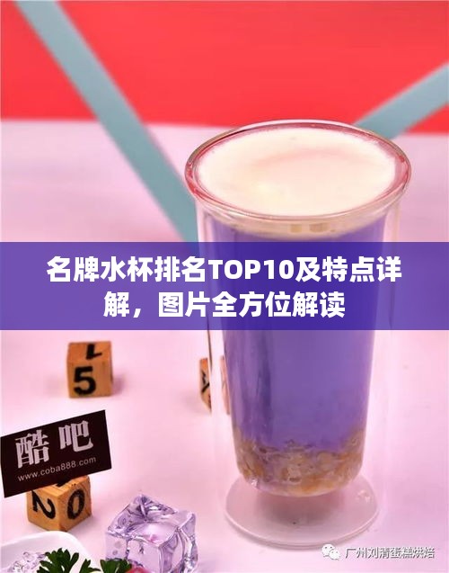 名牌水杯排名TOP10及特点详解，图片全方位解读