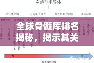 销声匿迹 第2页
