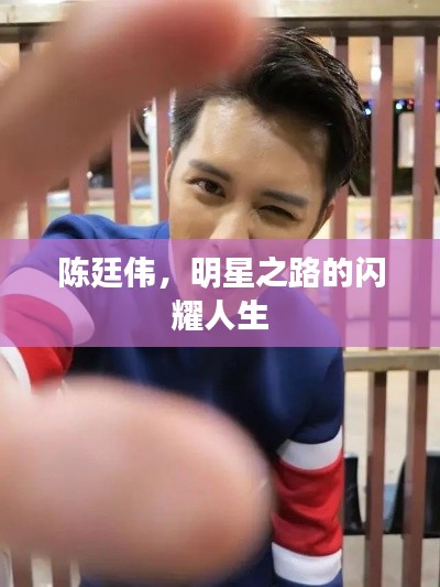 龙飞九五 第2页