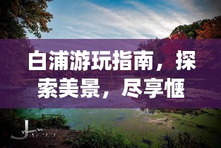 白浦游玩指南，探索美景，尽享惬意时光！