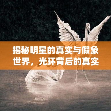 揭秘明星的真实与假象世界，光环背后的真实生活探索