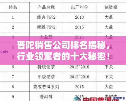 普陀销售公司排名揭秘，行业领军者的十大秘密！