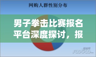 男子拳击比赛报名平台深度探讨，报名网站的功能与优势分析