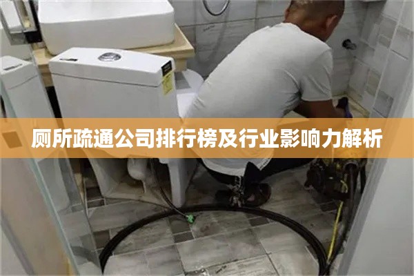 厕所疏通公司排行榜及行业影响力解析