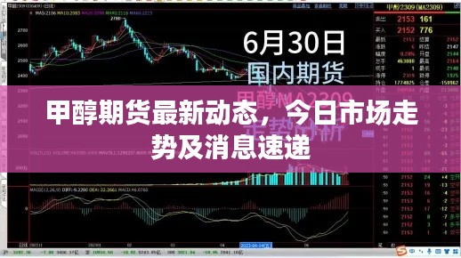 甲醇期货最新动态，今日市场走势及消息速递