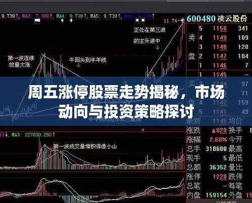 慎重其事 第2页