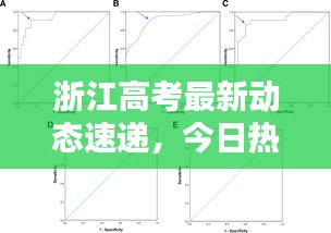 浙江高考最新动态速递，今日热点消息汇总