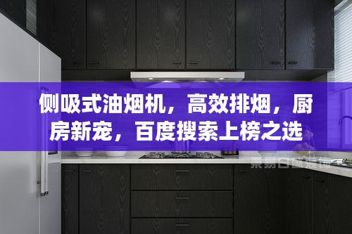 尘土飞扬 第2页