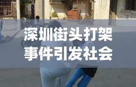 择善而从 第2页