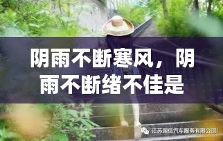 阴雨不断寒风，阴雨不断绪不佳是谁写的 