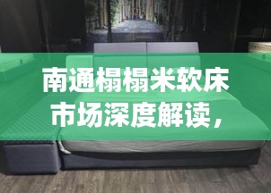 南通榻榻米软床市场深度解读，行情、趋势与前景分析