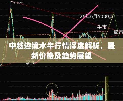 中越边境水牛行情深度解析，最新价格及趋势展望