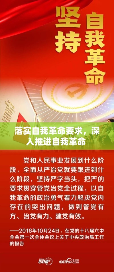 落实自我革命要求，深入推进自我革命 