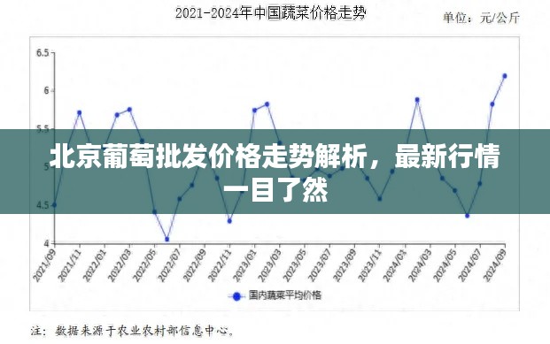 北京葡萄批发价格走势解析，最新行情一目了然