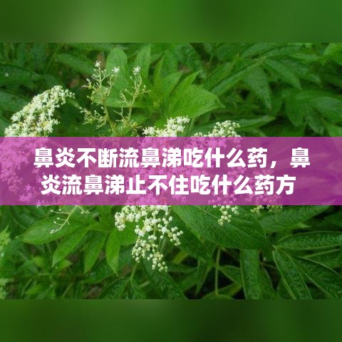 鼻炎不断流鼻涕吃什么药，鼻炎流鼻涕止不住吃什么药方 